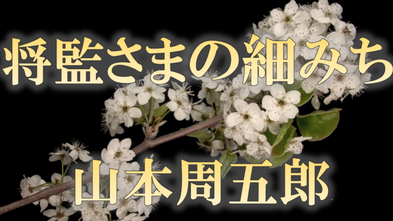 山本周五郎全集 第27巻 将監さまの細みち・並木河岸(山本周五郎