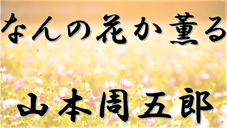 なんの花か薫る 山本周五郎│アリアの癒しの朗読屋