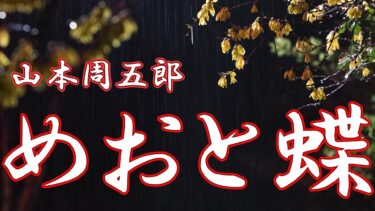 めおと蝶　山本周五郎