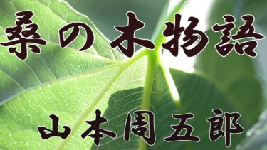 桑の木物語　山本周五郎