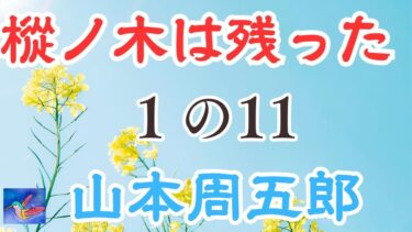 樅ノ木は残った １の11 石火 　山本周五郎